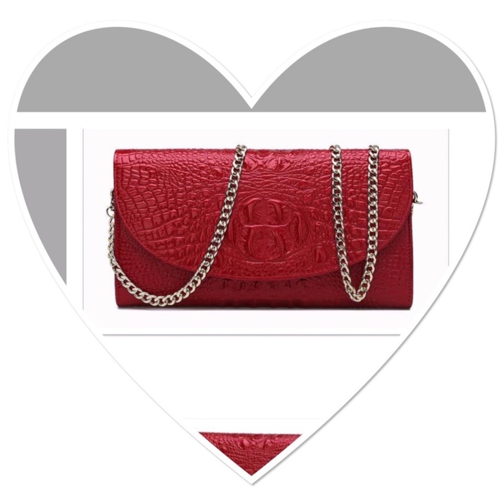NWOT Crossbody Bag or Clutch